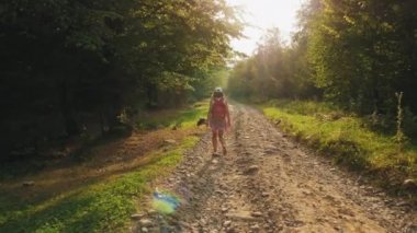 Kayalık bir yolda bir dağ ormanı ile yürüyüş