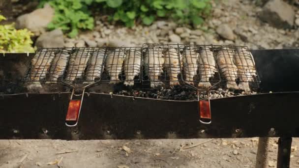 Trout is grilled outdoors — Stock Video