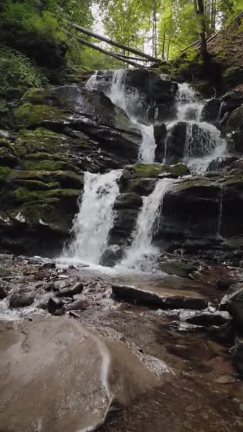 Carpatian Waterfall Shypit, Video verticale — Video Stock