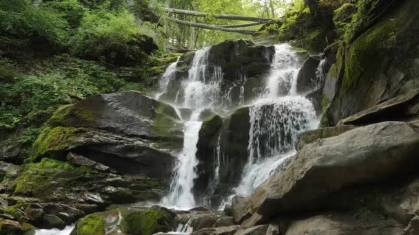 Cachoeira do Carpatian Shypit, Pylypets, Ucrânia — Vídeo de Stock