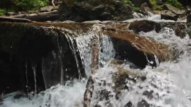 Près de la rivière de montagne. Flux de ruisseau avec des roches .