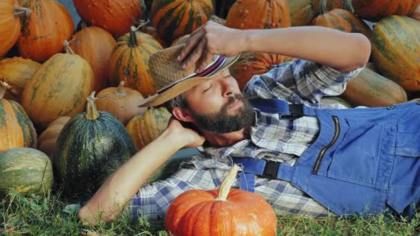 Campesino descansa cerca de montón de calabazas — Vídeos de Stock