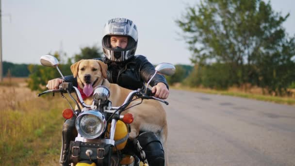 Riding a motorcycle with a dog — Stock Video