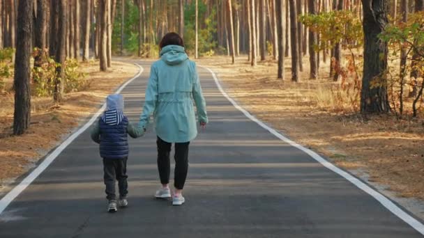 Mãe caminha com seu filhinho em uma floresta de pinheiros de outono — Vídeo de Stock