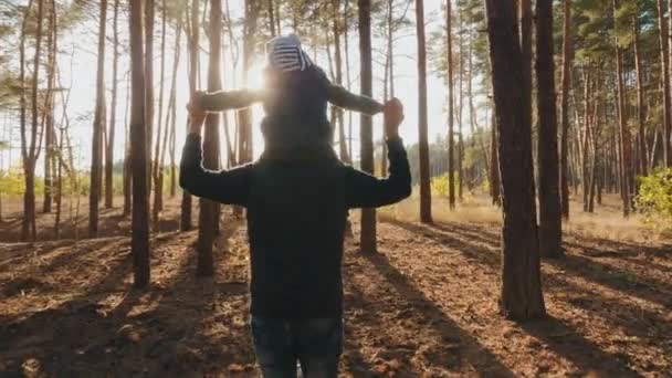 Baba ve küçük oğlu bir çam ormanında yürüyor. — Stok video