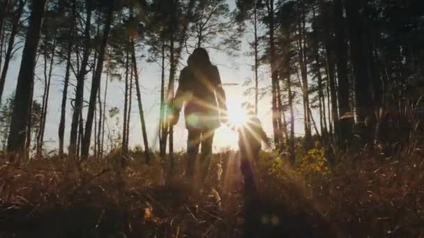 Silhouetten van een vrouw en een kind wandelen door het bos — Stockvideo