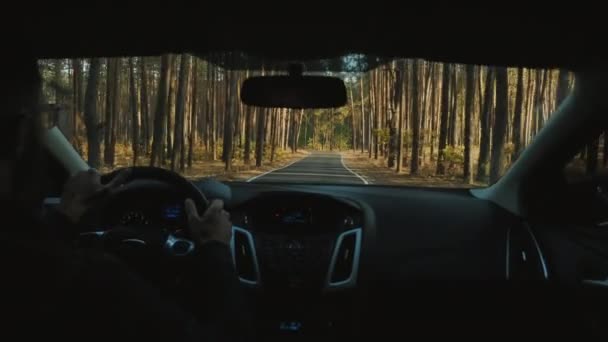 Un homme conduit une voiture sur une route à travers une forêt de pins par une journée ensoleillée — Video