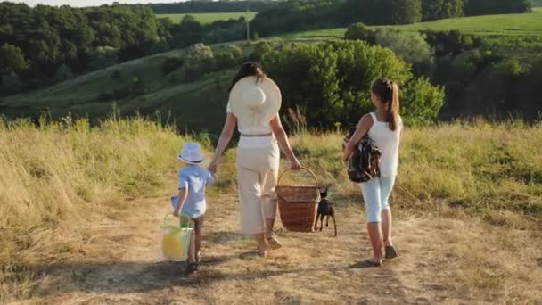 Счастливая семья идет на пинок — стоковое видео