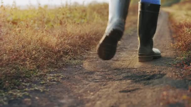 Rolnik w gumowe buty chodzenie na drodze, zbliżenie nóg — Wideo stockowe