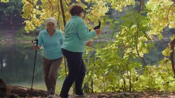 Senior women having fun while Nordic walking — Stock Video