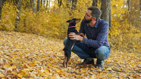 Tatlı köpek, sahibinin yüzüne nazikçe bakıyor.