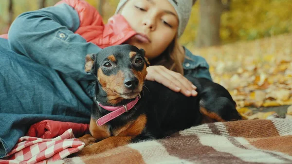 Kız sonbahar ormanında minyatür pinscher 'ıyla rahatlıyor.