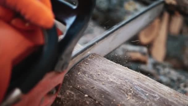 Sawing wood with a chainsaw — Stock Video