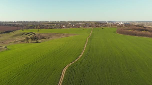 Vue aérienne survolant des champs agricoles verts 