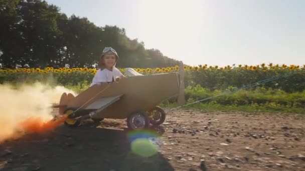 Vater rollt glückliches Kind in Pappflugzeug über die Natur — Stockvideo