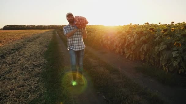 Ένας αγρότης κουβαλάει μια σακούλα κρεμμύδια στον ώμο του. — Αρχείο Βίντεο