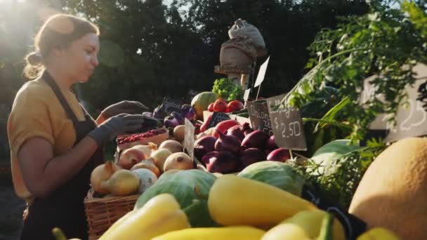 A lány készíti elő a pultot a termelői piacon. — Stock videók