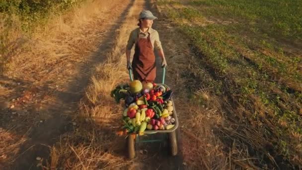 Lány farmer gurít talicskát zöldségekkel — Stock videók