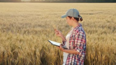 Genç beyaz kadın tarlada tablet bilgisayar kullanıyor.