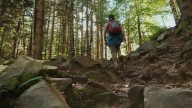 Bir dişi turist ormanda taştan bir patika boyunca yürüyor.