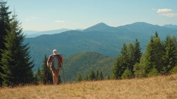 Een man met wandelstokken wandelen in de hooglanden — Stockvideo