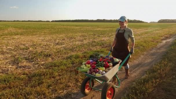 Kobieta toczy taczkę pełną organicznych warzyw — Wideo stockowe