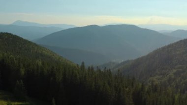 Yoğun çam ormanlarıyla kaplı dağ tepelerinin havadan görünüşü