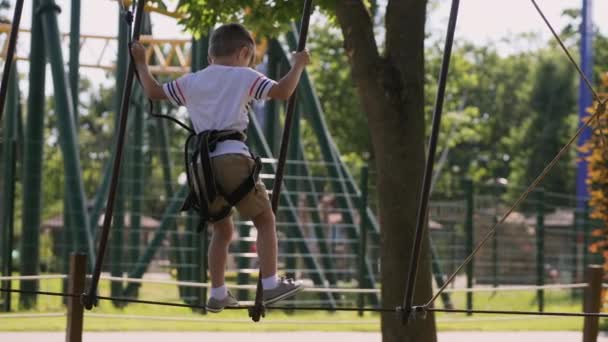 Ein tapferer Junge bewegt sich entlang der Seile zwischen den Bäumen — Stockvideo