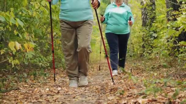 Yürüyüş direkleri olan yaşlı kadınlar doğada yürürler, bacaklarını kapatırlar. — Stok video