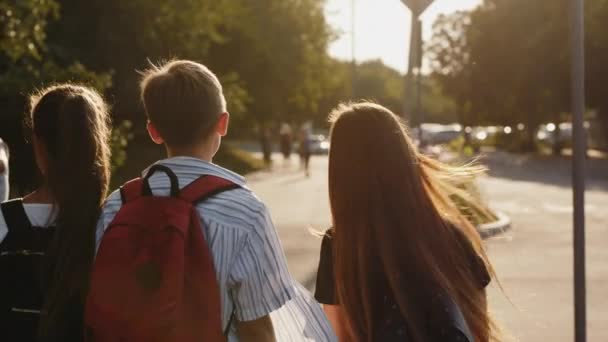 Bakifrån av en skolbarn gå ner på gatan — Stockvideo