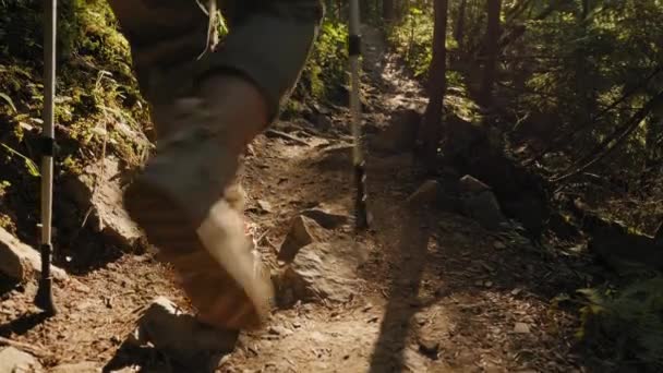 Senderismo mujer camina en un sendero a través de un bosque denso — Vídeo de stock