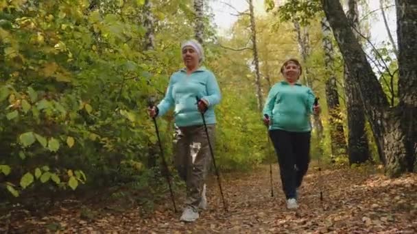 Yaşlı yaşlı kadınlar doğada İskandinav yürüyüşü yapıyorlar. — Stok video