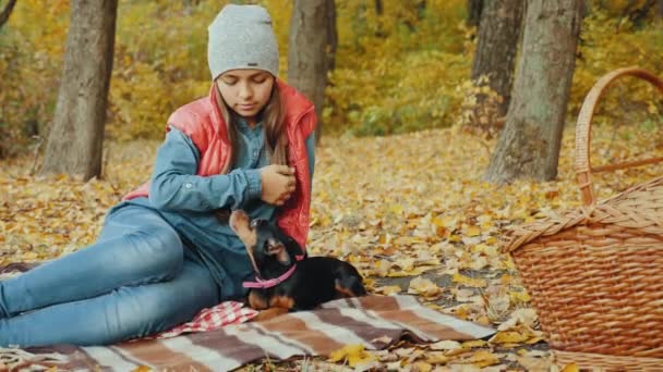 Девушка отдыхает в осеннем лесу со своим миниатюрным пинчером — стоковое видео