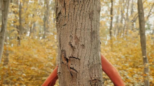 Ragazza abbraccio tronco d'albero nella foresta autunnale — Video Stock