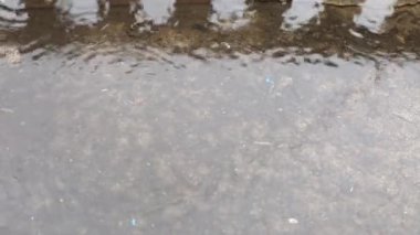 Su birikintisine düşen yağmur damlaları.