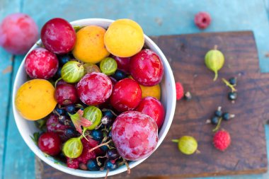 Taze meyve ve böğürtlen topla.
