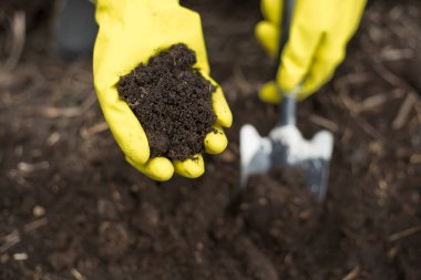 Bir çiftçinin elinde ekilebilir toprak. Organik gübre, yakın plan. Humus.