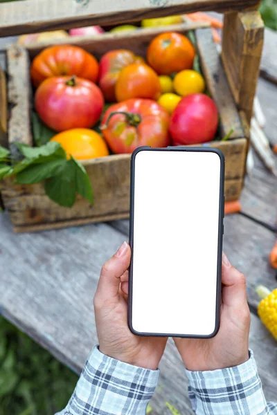 Online ordering of organic farm vegetables and fruits. Mobile phone white screen on food background.