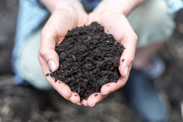 Arable soil in the hands of a farmer. Compost organic fertilizer close-up. Humus.