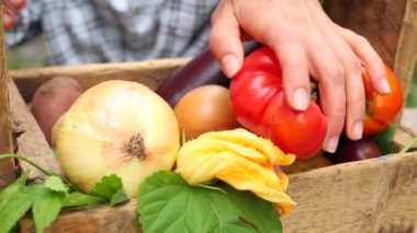 Taze sebzeleri sepete koyan kadının görüntüsü.