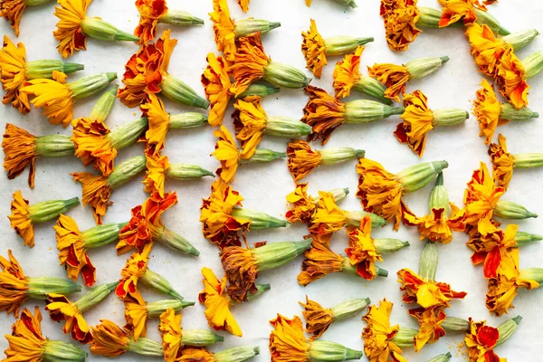 乾燥したマリーゴールド ハーブの癒し 代替医療 花の背景 — ストック写真
