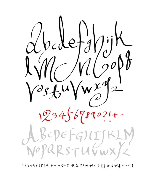 Vector Fonts Handwritten Calligraphy — Stock Vector