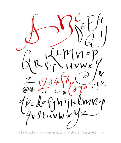 векторные шрифты / рукописная каллиграфия 