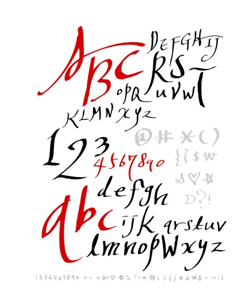 Vectorlettertypen Handgeschreven Kalligrafie — Stockvector