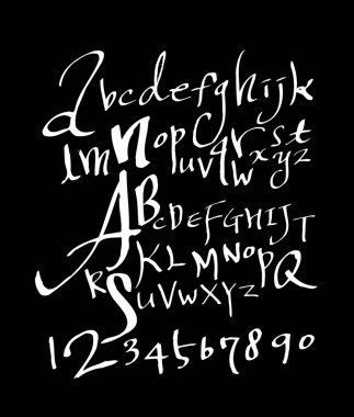 vektör yazı tipleri / el yazısı kaligrafi