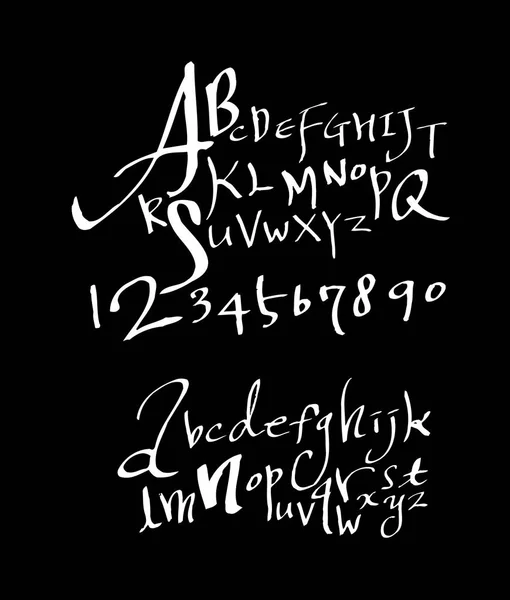 Vectorlettertypen Handgeschreven Kalligrafie — Stockvector