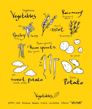 Sebze ve meyve resimler / el çekilmiş gıda maddeleri - vektör