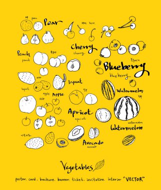 Sebze ve meyve resimler / el çekilmiş gıda maddeleri - vektör