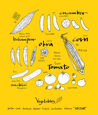 Sebze ve meyve resimler / el çekilmiş gıda maddeleri - vektör
