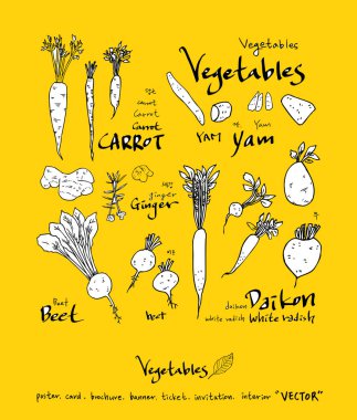 Sebze ve meyve resimler / el çekilmiş gıda maddeleri - vektör
